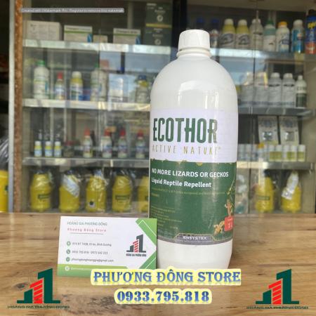 Ecothor đuổi thằn lằn